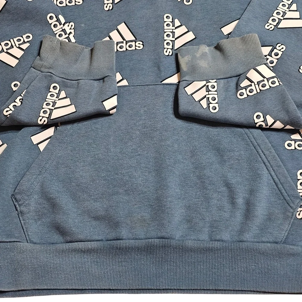 adidas this hoodie